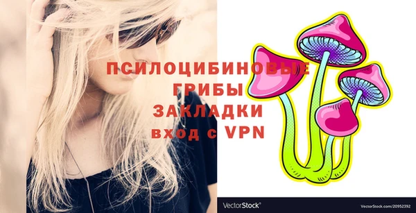 молекула духа Баксан